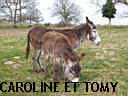 TN_TN_TN_caroline et tomy.JPG