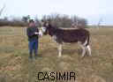 TN_TN_TN_casimir1.JPG