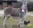 TN_TN_TN_julie4.JPG